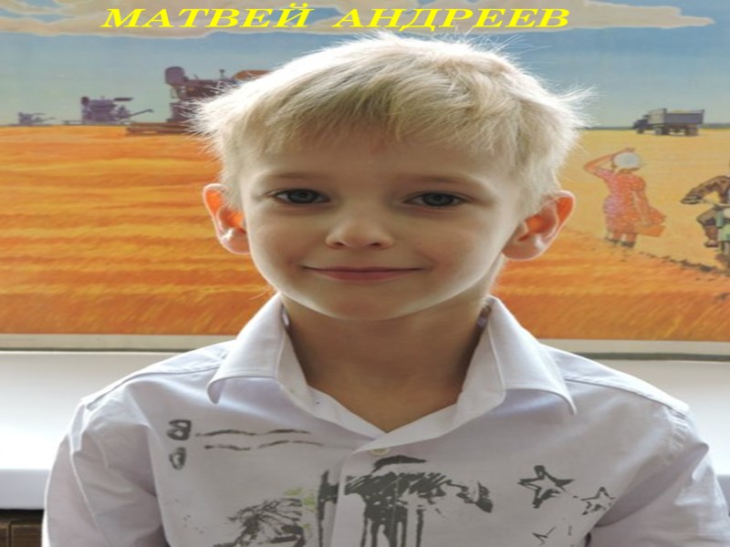 МАТВЕЙ  АНДРЕЕВ